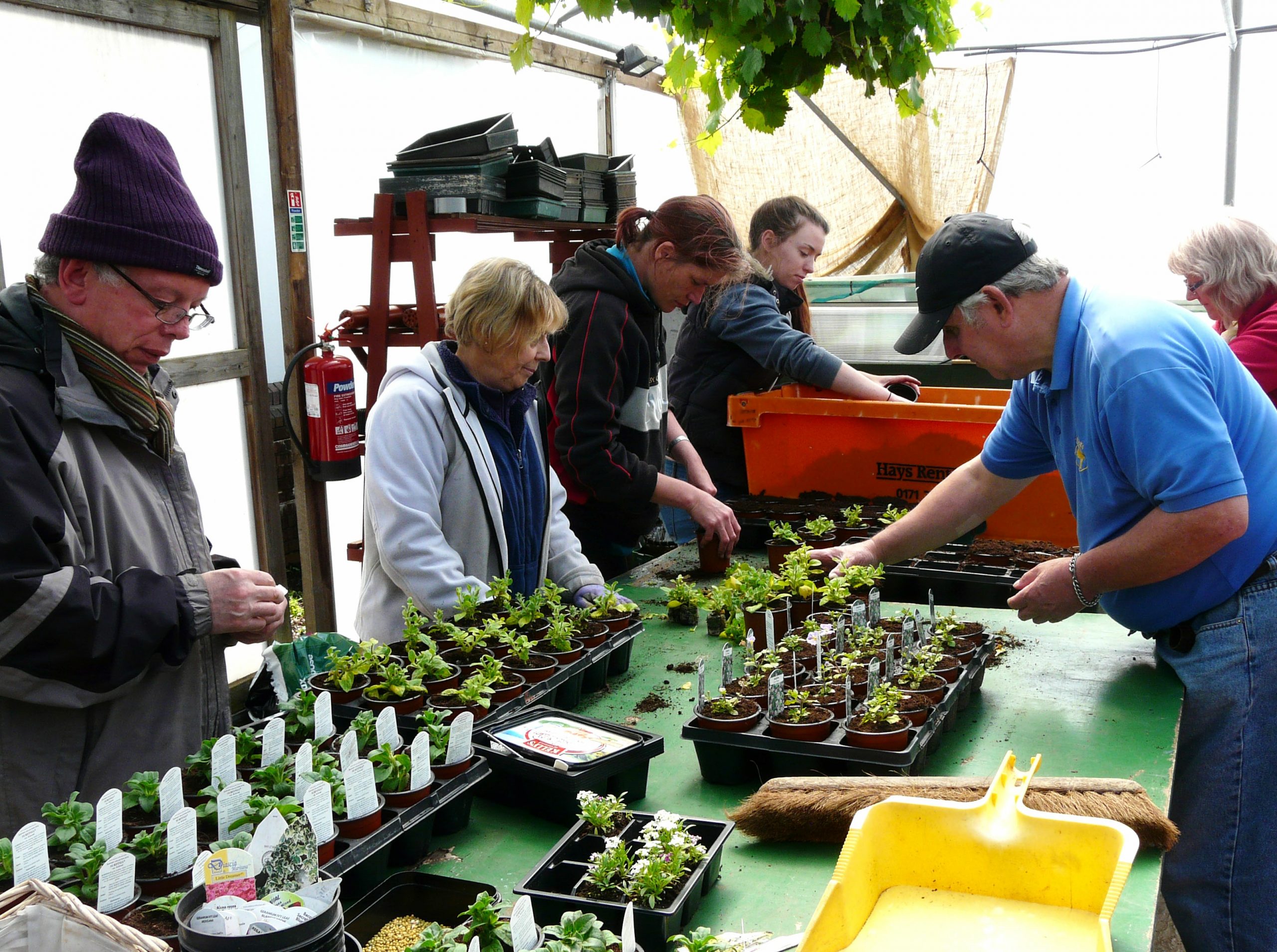 Garden Nursery Heath