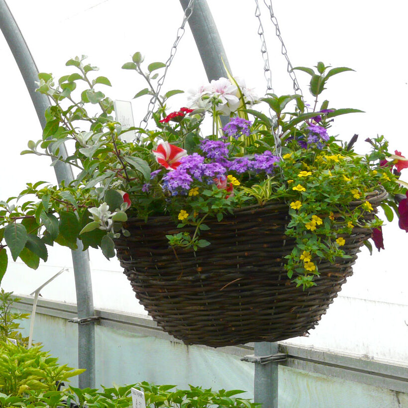 16" Wicker Hanging Basket